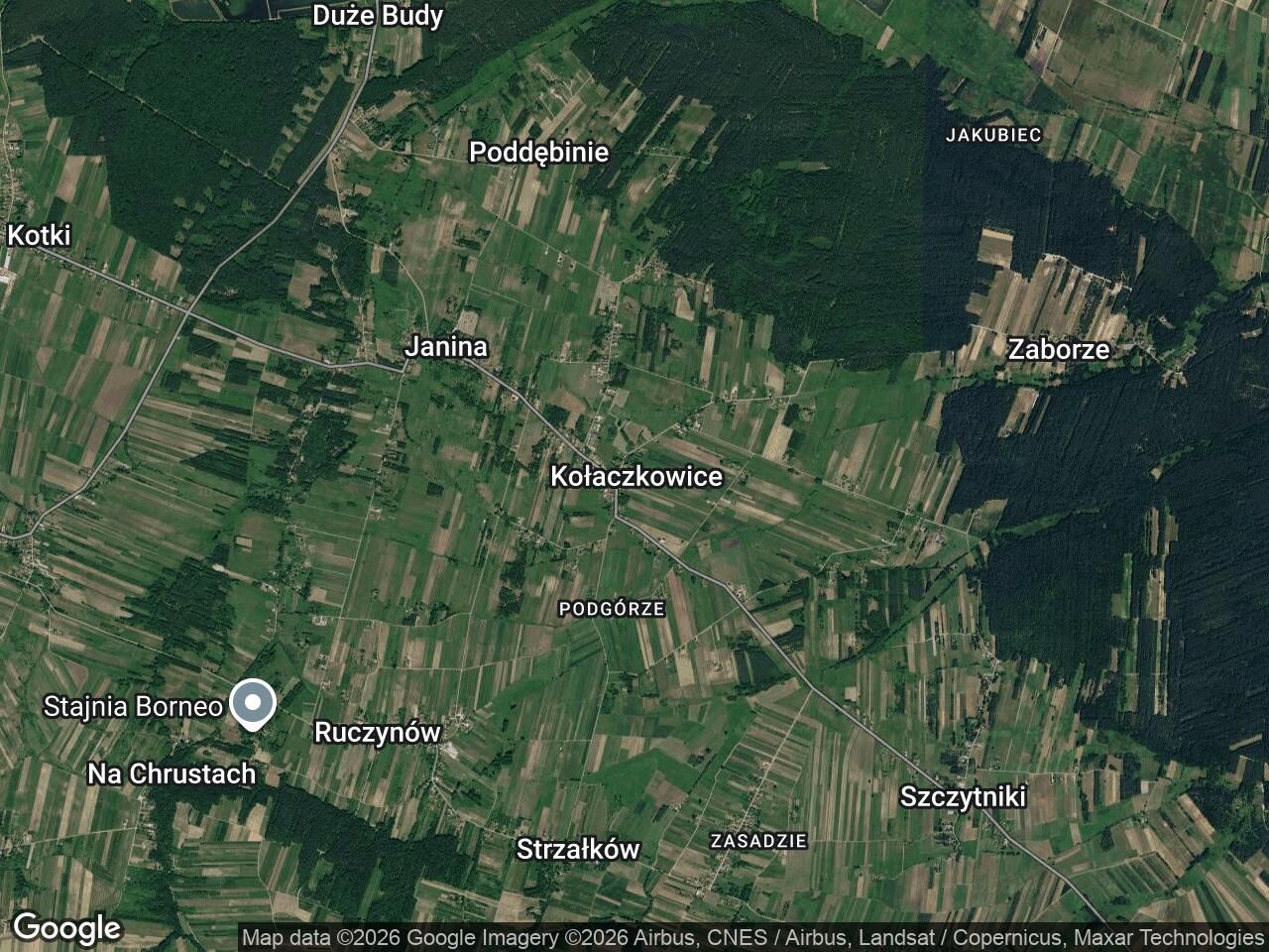 Działka leśna Kołaczkowice. Zdjęcie 1