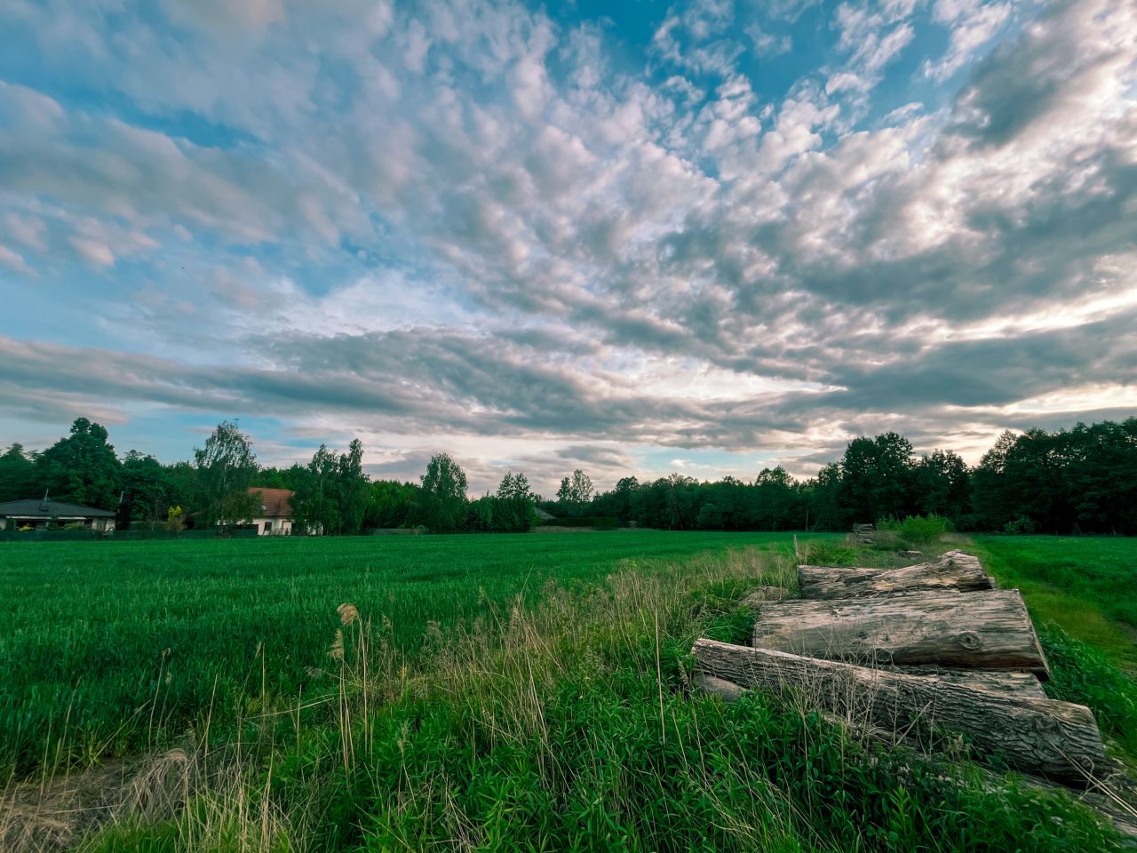 Działka budowlana Lucień. Zdjęcie 4