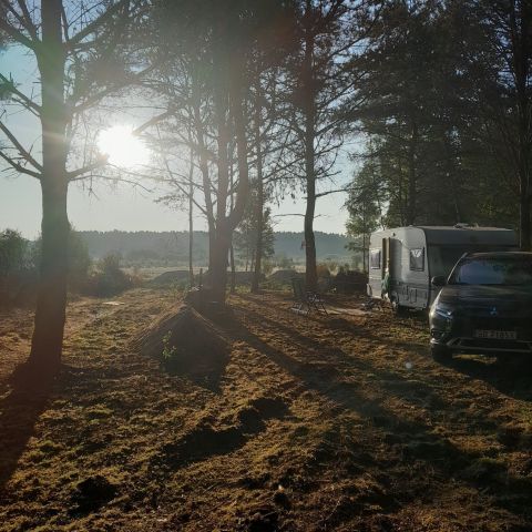 Działka leśna Rudniki. Zdjęcie 1