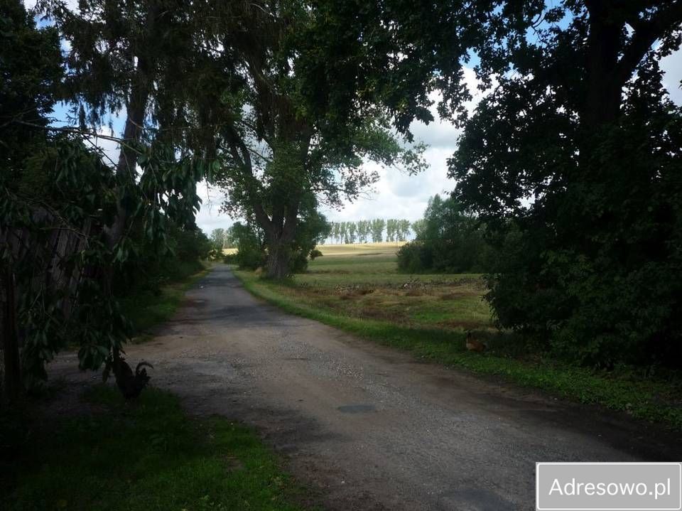 dom wolnostojący, 8 pokoi Sielsko. Zdjęcie 5