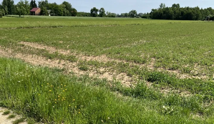 Działka budowlana Wola Przemykowska