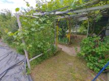 Działka rod Ostrów Wielkopolski, ul. Srebrna. Zdjęcie 2