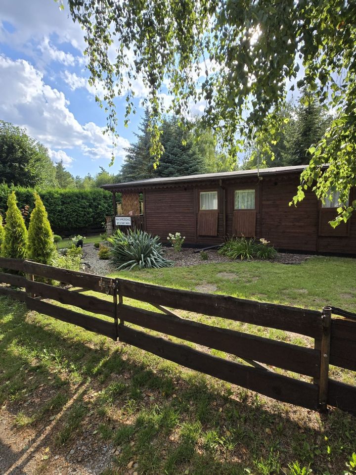 Działka rod Mrówki. Zdjęcie 3