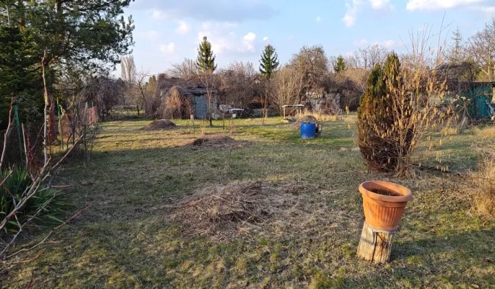 Działka rod Wrocław Krzyki, ul. Gazowa