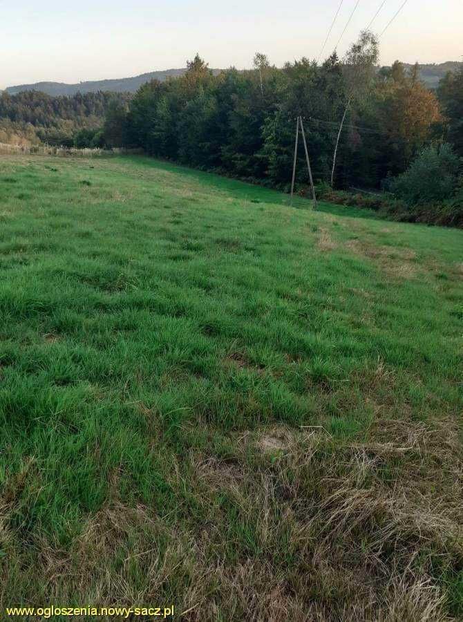 Działka budowlana Bartkowa-Posadowa. Zdjęcie 4