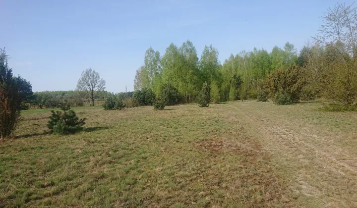 Działka rolna Pakulanka