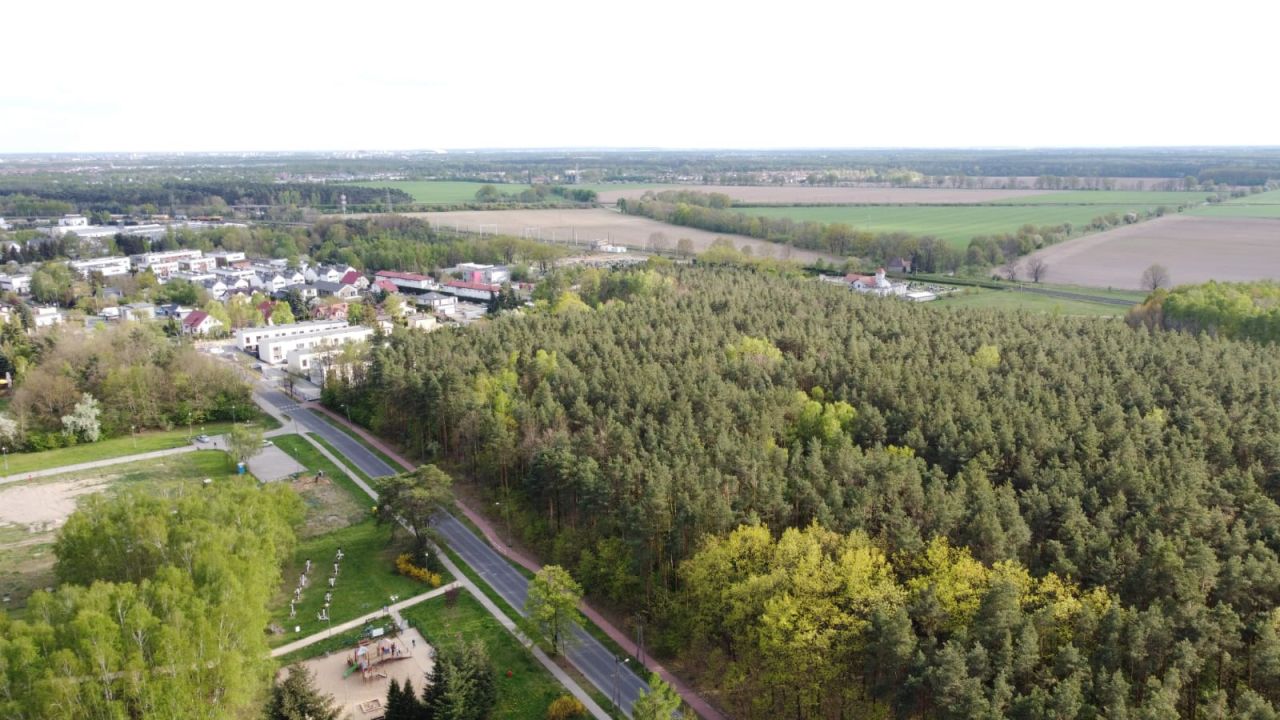 dom wolnostojący, 6 pokoi Suchy Las, ul. Szkółkarska. Zdjęcie 11