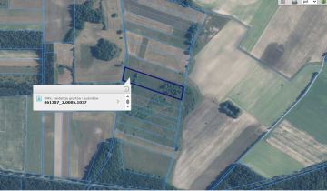 Działka rolna Lejno