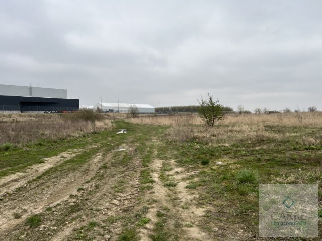 Działka inwestycyjna Przecław. Zdjęcie 2