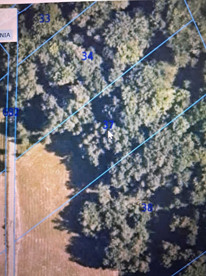 Działka Łosie. Zdjęcie 4