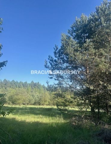 Działka rolno-budowlana Rokitno Szlacheckie. Zdjęcie 13