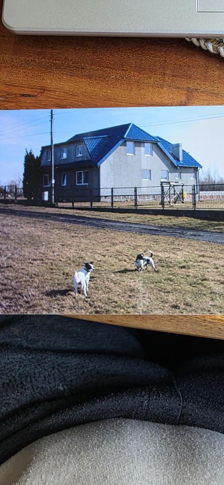 Działka inna Rzepnowo, Rzepnowo. Zdjęcie 2