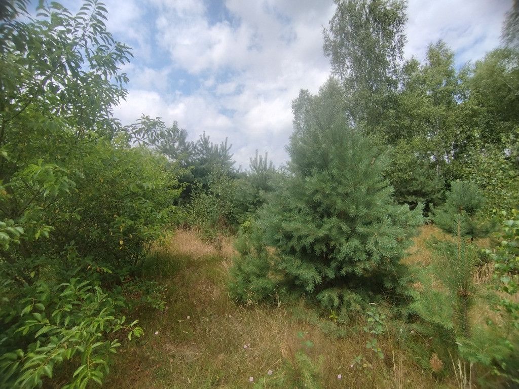 Działka budowlana Tomczyn. Zdjęcie 10