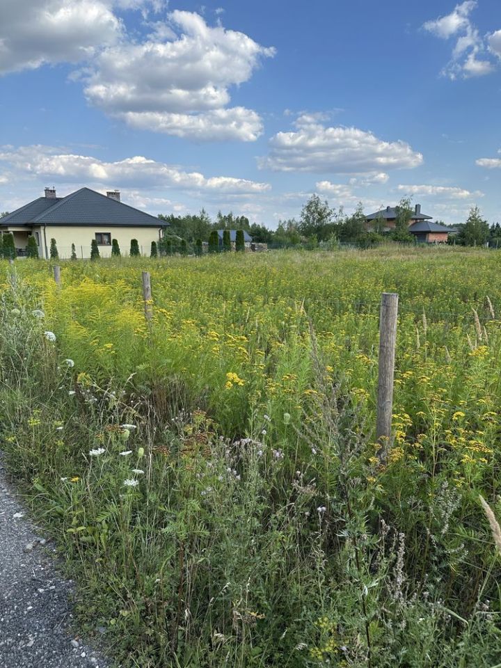 Działka budowlana Rokiciny-Kolonia, ul. Modrzewiowa