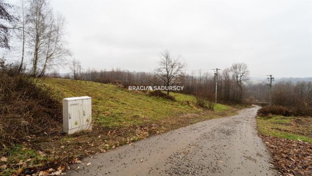 Działka rolna Podstolice. Zdjęcie 7