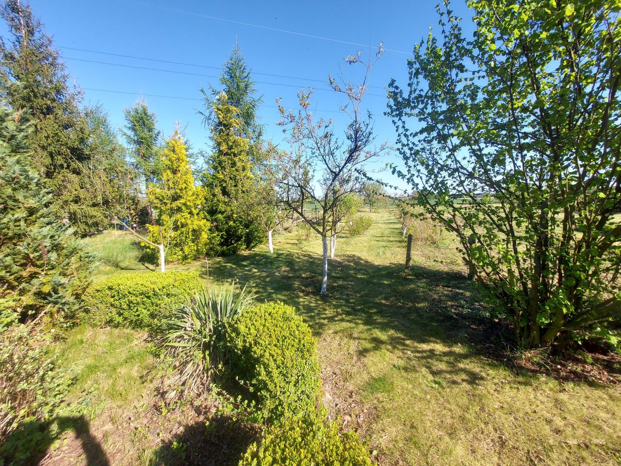 Działka rolna Krościna Mała. Zdjęcie 15