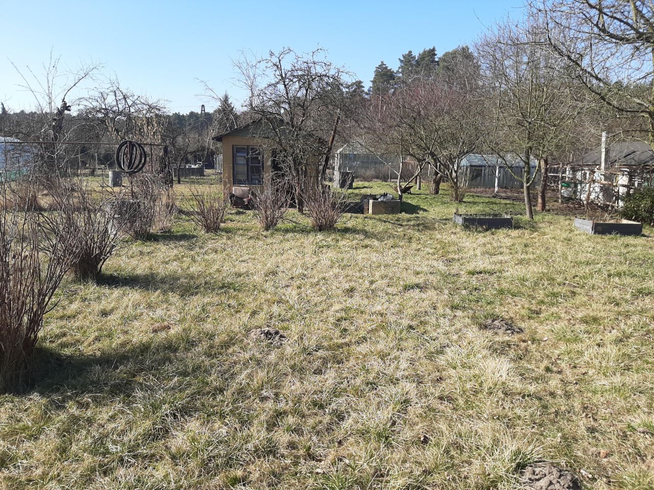 Działka rod Nowa Sól, ul. Zielonogórska. Zdjęcie 3