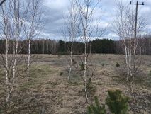 Działka budowlana Śródborze. Zdjęcie 1