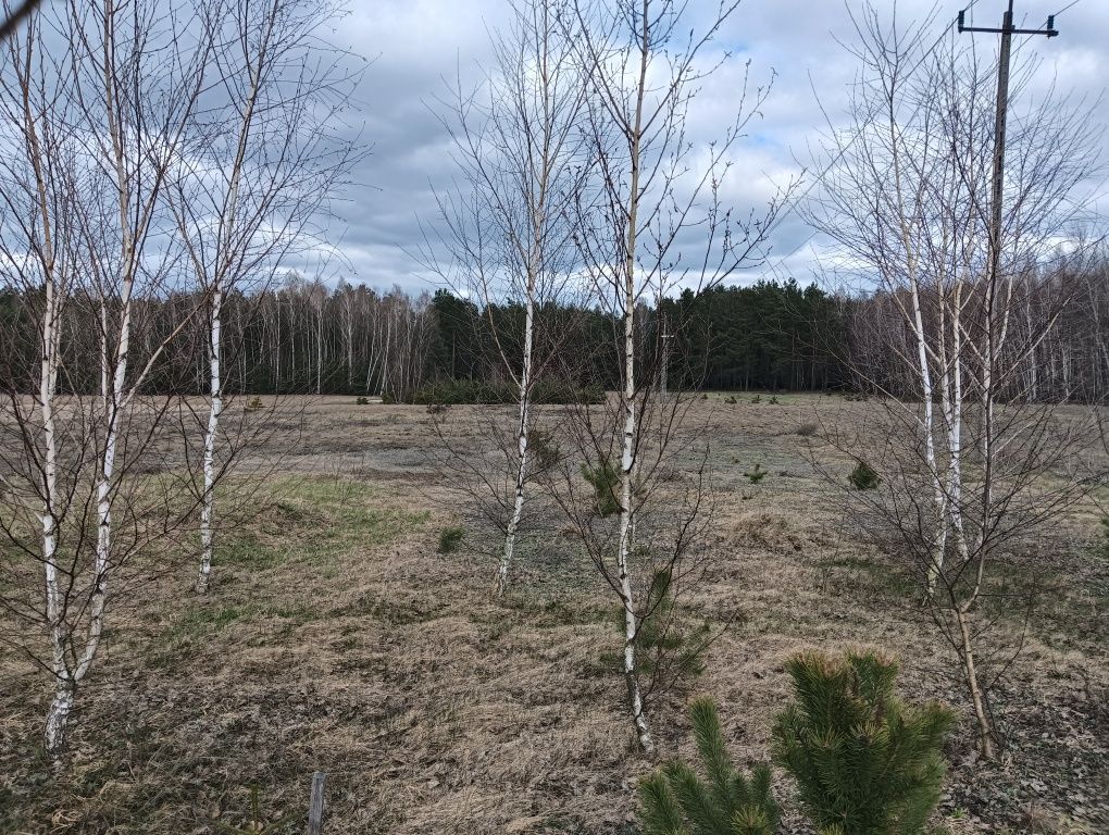Działka budowlana Śródborze. Zdjęcie 2