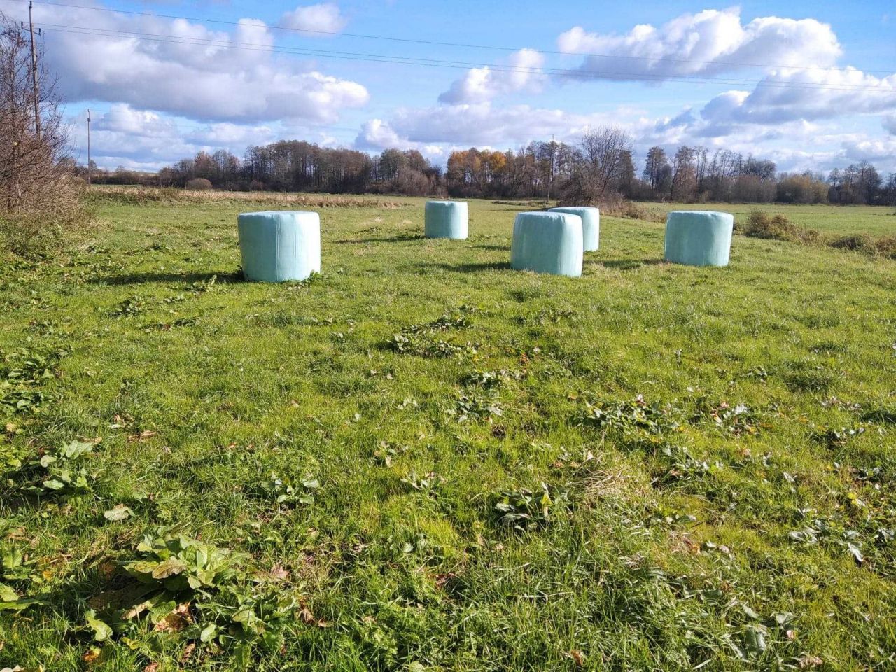 Działka siedliskowa Gąsówka-Oleksin. Zdjęcie 7