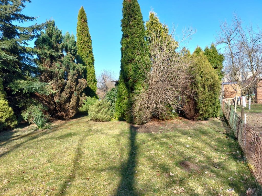 Działka rod Lubin. Zdjęcie 2