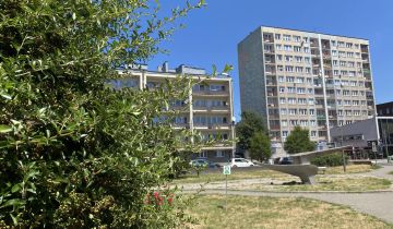 Mieszkanie 2-pokojowe Chorzów Centrum, ul. Kazimierza Wielkiego