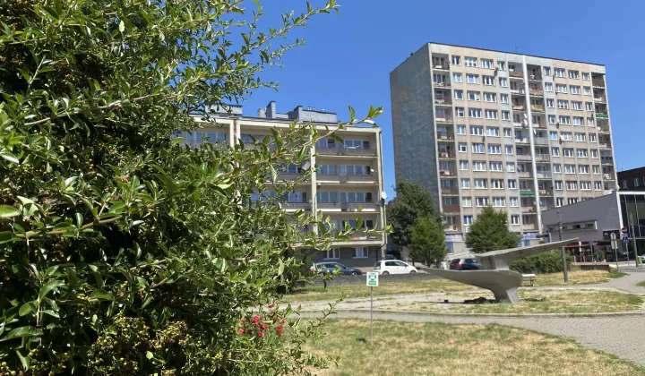 Mieszkanie 2-pokojowe Chorzów Centrum, ul. Kazimierza Wielkiego