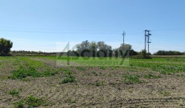 Działka rolna Bieniewo-Parcela