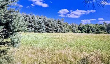 Działka rolno-budowlana Kolonia Piaski