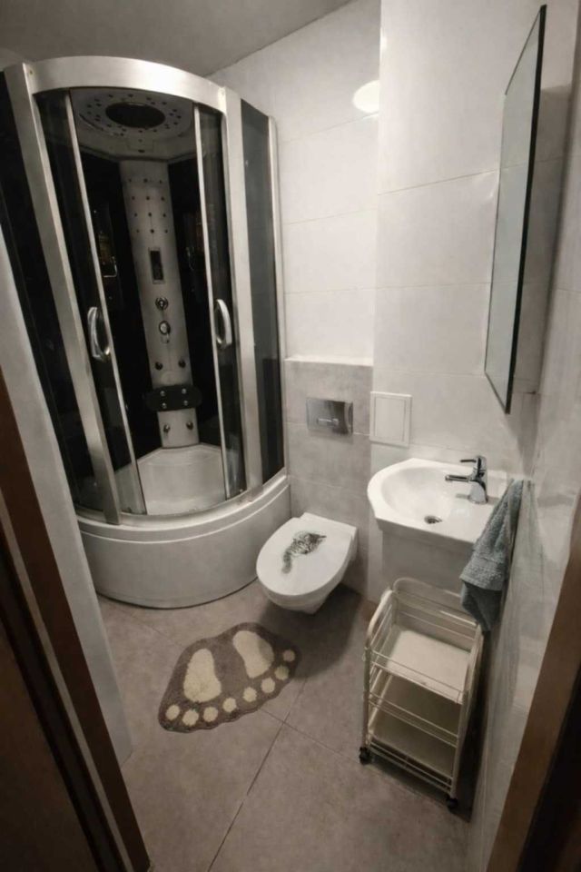 Mieszkanie 2-pokojowe Sosnowiec Niwka, ul. Adama Śliwki. Zdjęcie 2