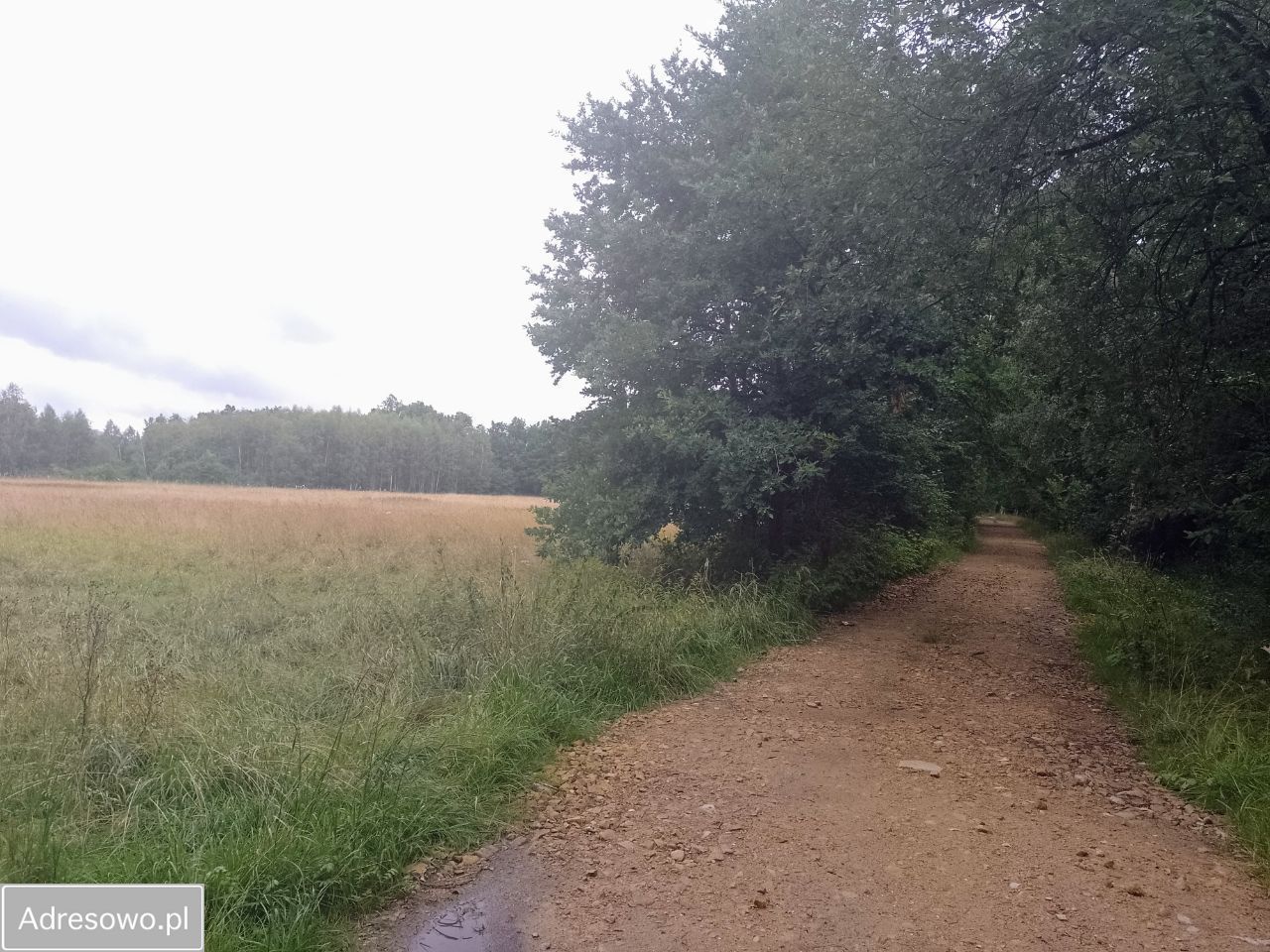 Działka budowlana Długopole Dolne. Zdjęcie 12