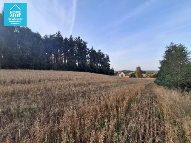 Działka budowlana Ramleje. Zdjęcie 8