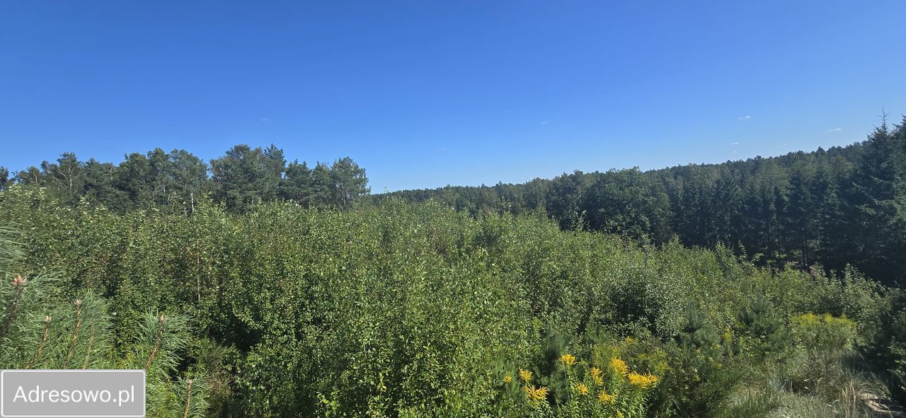 Działka budowlana Warzenko, ul. Wrzosowa. Zdjęcie 3
