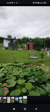 Działka rod Gostyń. Zdjęcie 1