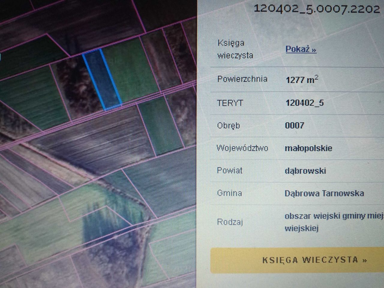 Działka rolna Nieczajna Dolna. Zdjęcie 2