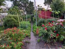 bliźniak Osięciny. Zdjęcie 3