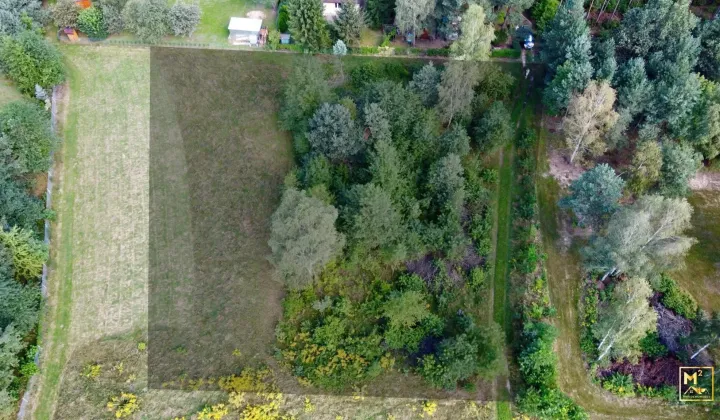 Działka budowlana Borki, Działka nr 44