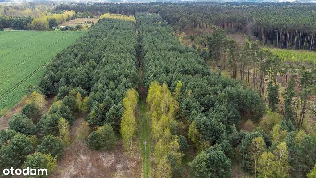 Działka budowlana Ostrowina. Zdjęcie 2