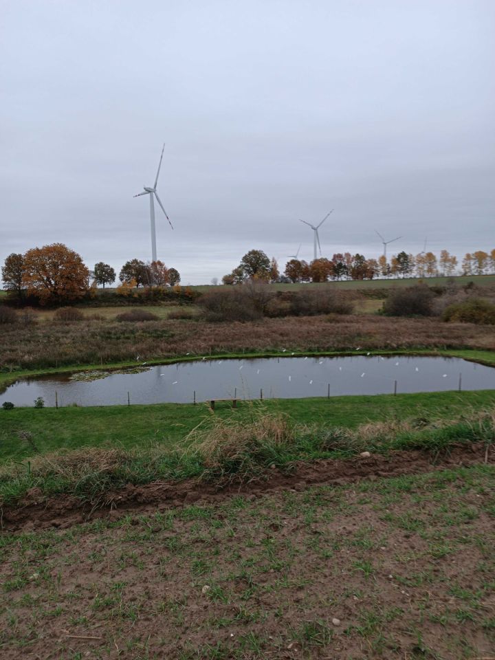 Działka rolna Dargocice. Zdjęcie 6