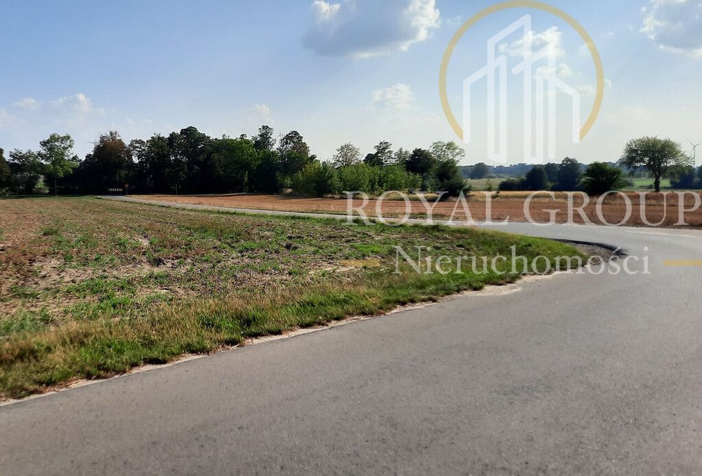 Działka rolna Rudno. Zdjęcie 2