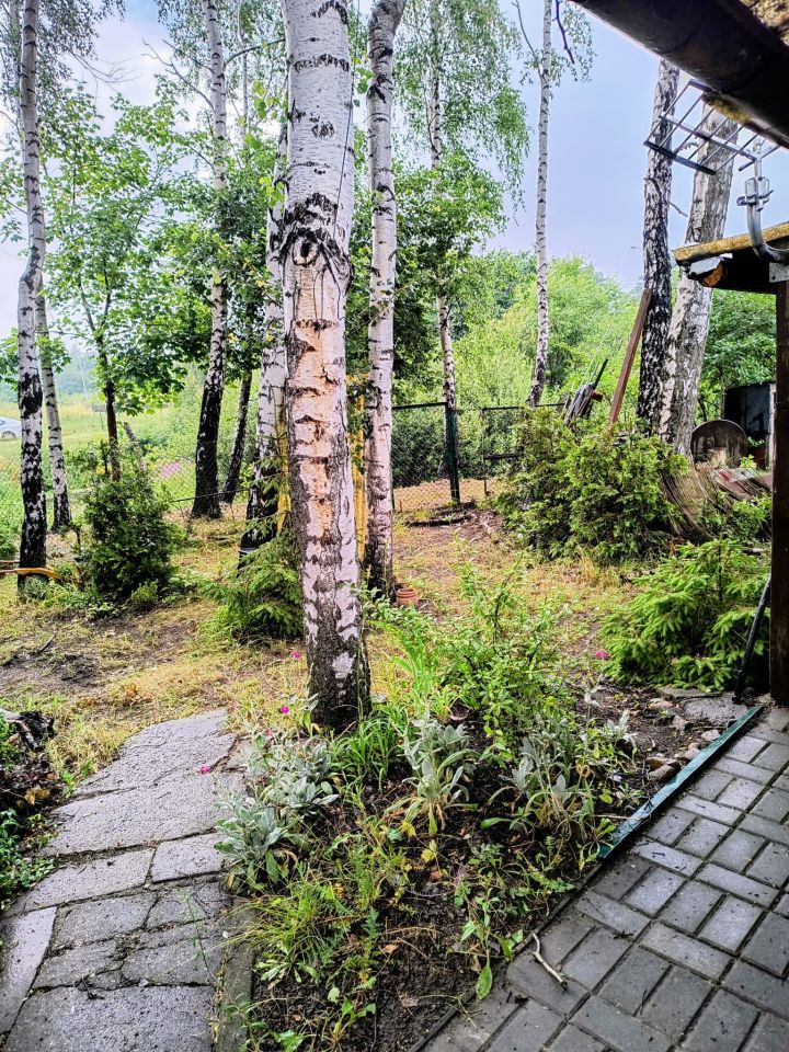 Działka rod Gdańsk Jasień, ul. Gronostajowa. Zdjęcie 5