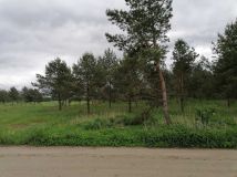Działka budowlana Kotkowo
