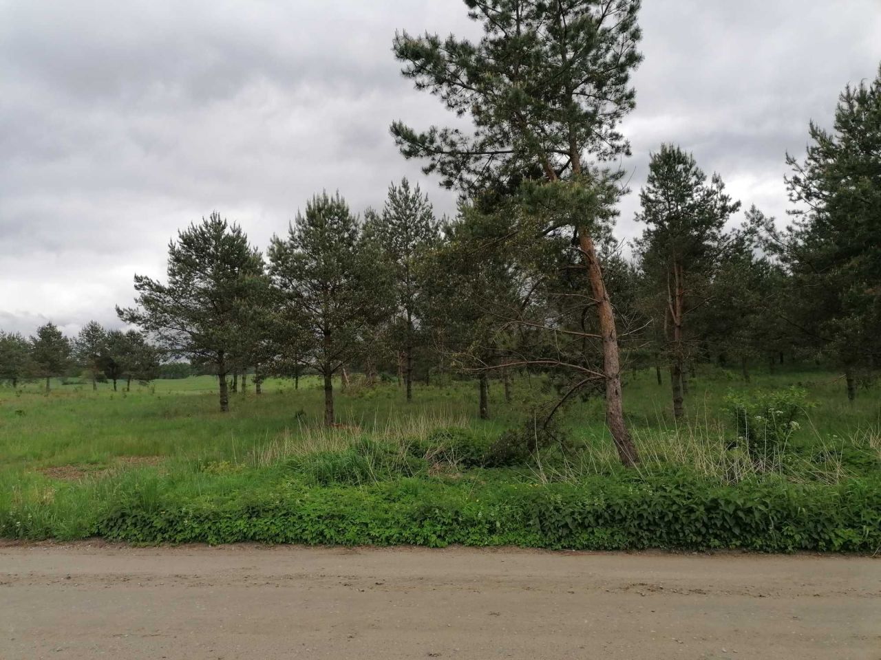 Działka budowlana Kotkowo