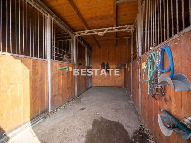 Działka rolno-budowlana Rzuchowa. Zdjęcie 12