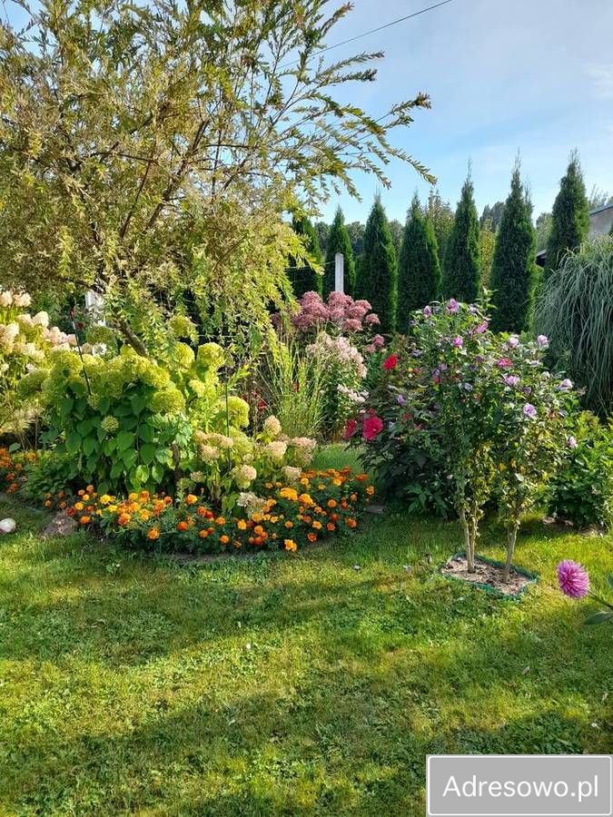 Działka rod Ostrowiec Świętokrzyski, ul. Niska. Zdjęcie 9