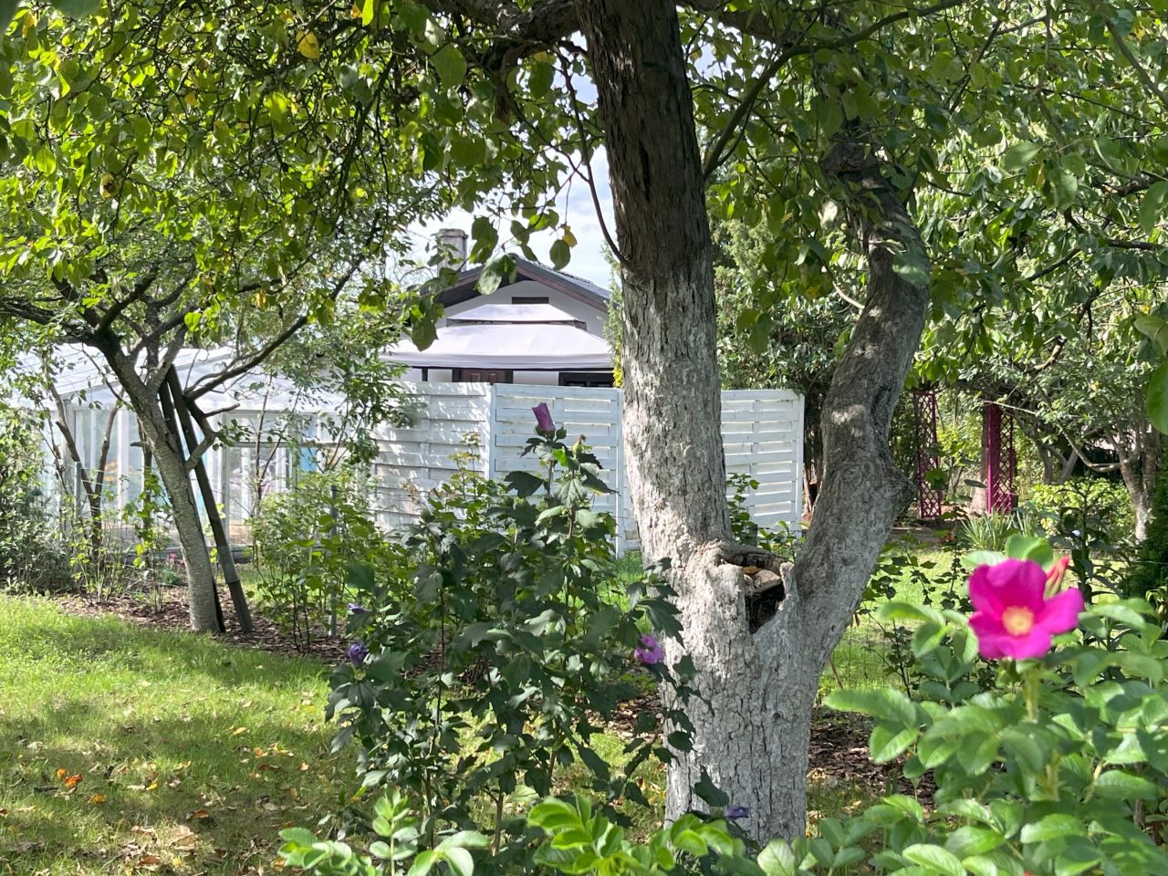 Działka rod Szczecin Pomorzany, ul. Przy Ogrodach. Zdjęcie 11