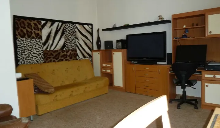 Mieszkanie 1-pokojowe Łódź Śródmieście, ul. Wierzbowa