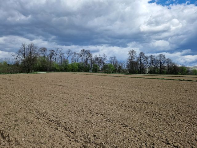 Działka budowlana Pilzno, ul. Grottgera. Zdjęcie 7