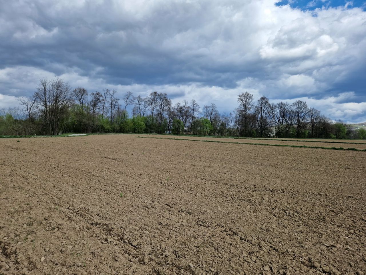 Działka budowlana Pilzno, ul. Grottgera. Zdjęcie 7