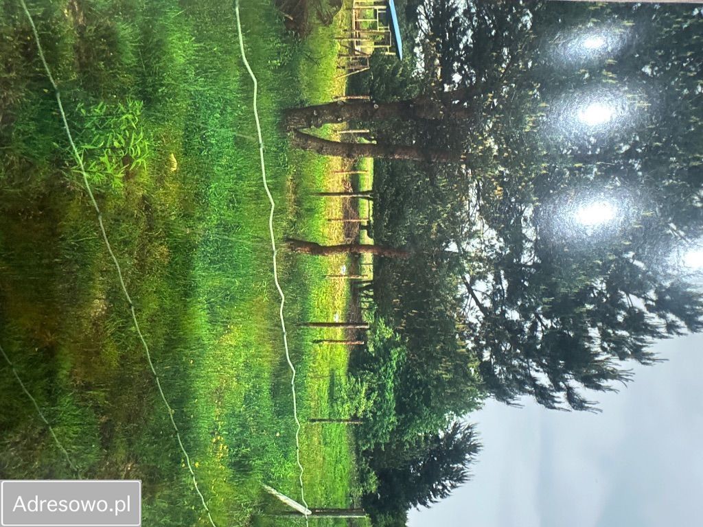 Działka budowlana Miasteczko Śląskie, ul. Klonowa. Zdjęcie 5